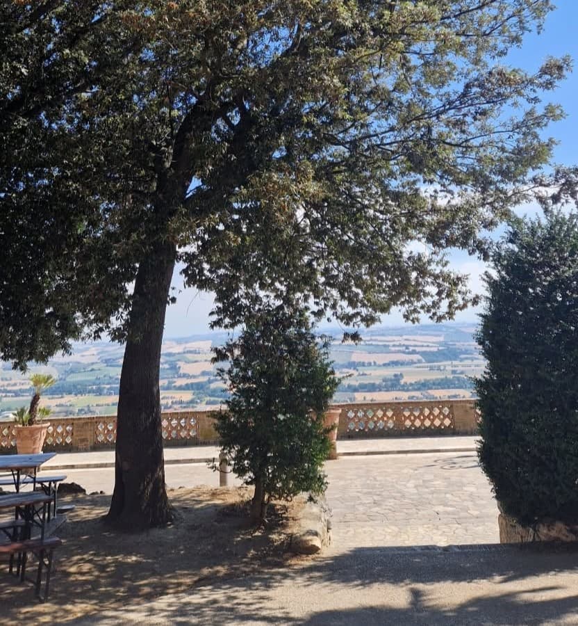 Alberi malati e a rischio crolli negli storici giardini di Piazza Nuova:  «Domani saranno abbattuti»
