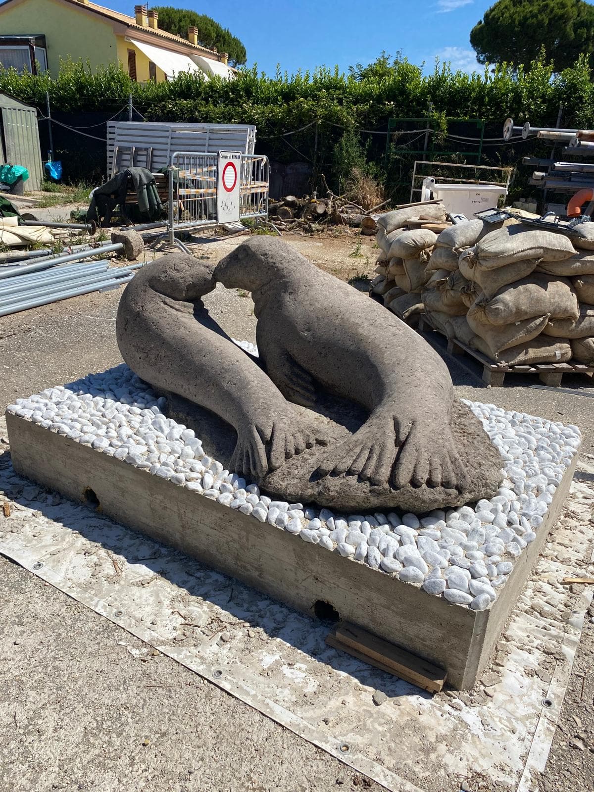 Taglio del nastro per la statua della foca monaca avvistata a Numana
