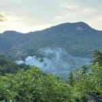 Fiamme in un’area boschiva nelle vicinanze di Ascoli Piceno
