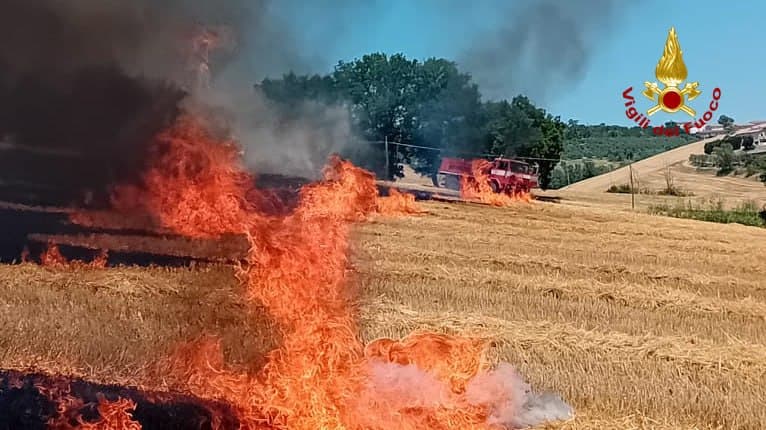 Vasto incendio nel campo:  vigili del fuoco in azione con 5 mezzi