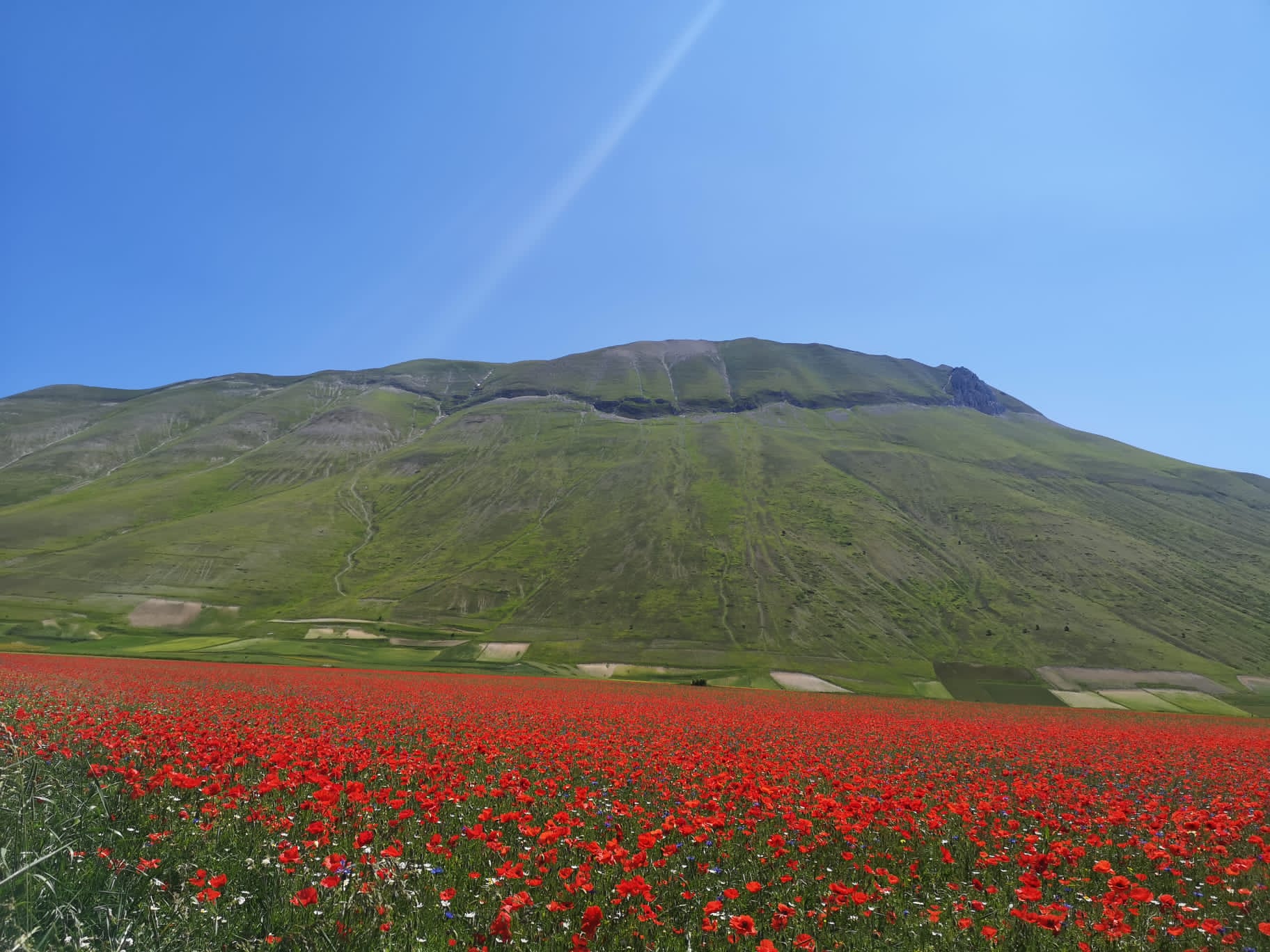 Castelluccio è in fiore,  stop ad auto e camper