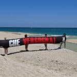 Mare Marche: quasi 60% campioni esaminati da Legambiente risulta oltre i limiti di legge