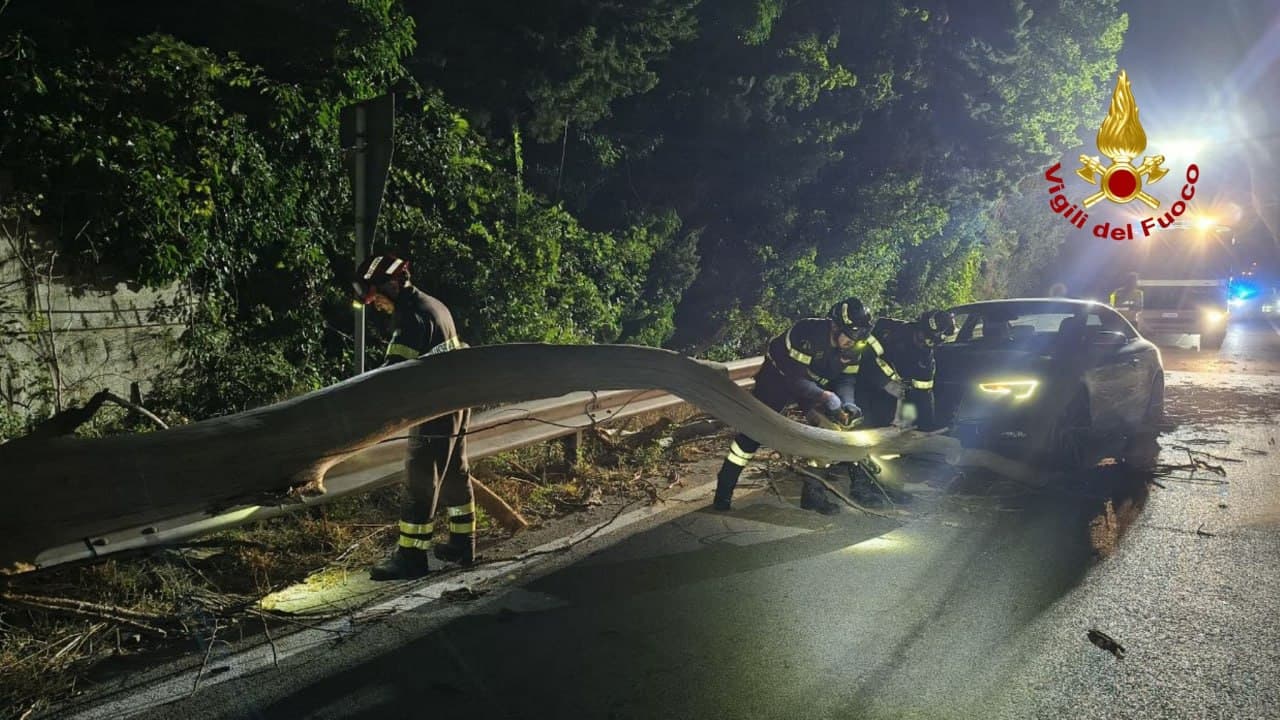 Maltempo: oltre 70 interventi  dei vigili del fuoco.  Albero cade su un’auto ad Ancona
