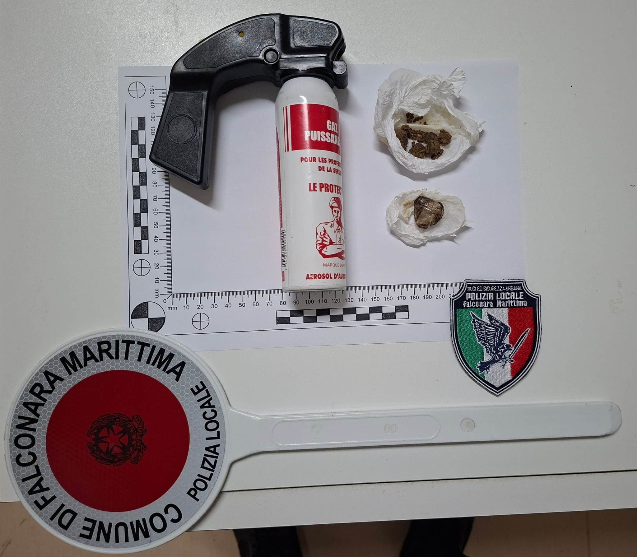 Blitz in spiaggia con il cane Billy:  un arresto per spray lacrimogeno illegale  e due minorenni nei guai
