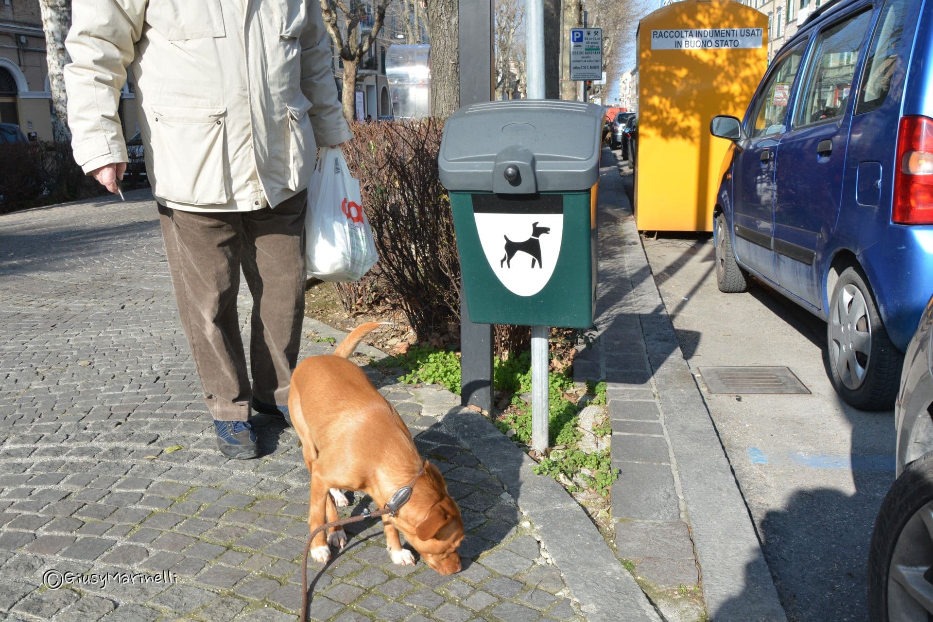 Cani liberi e decoro,   stretta sui controlli ad Offagna:  multe fino a 150 euro