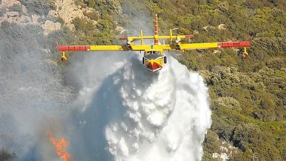 Incendi boschivi,  le Marche tra le regioni più resilienti