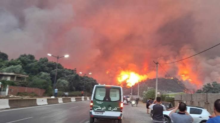 Incendi devastanti in Algeria: oltre 69 vittime e numerosi feriti